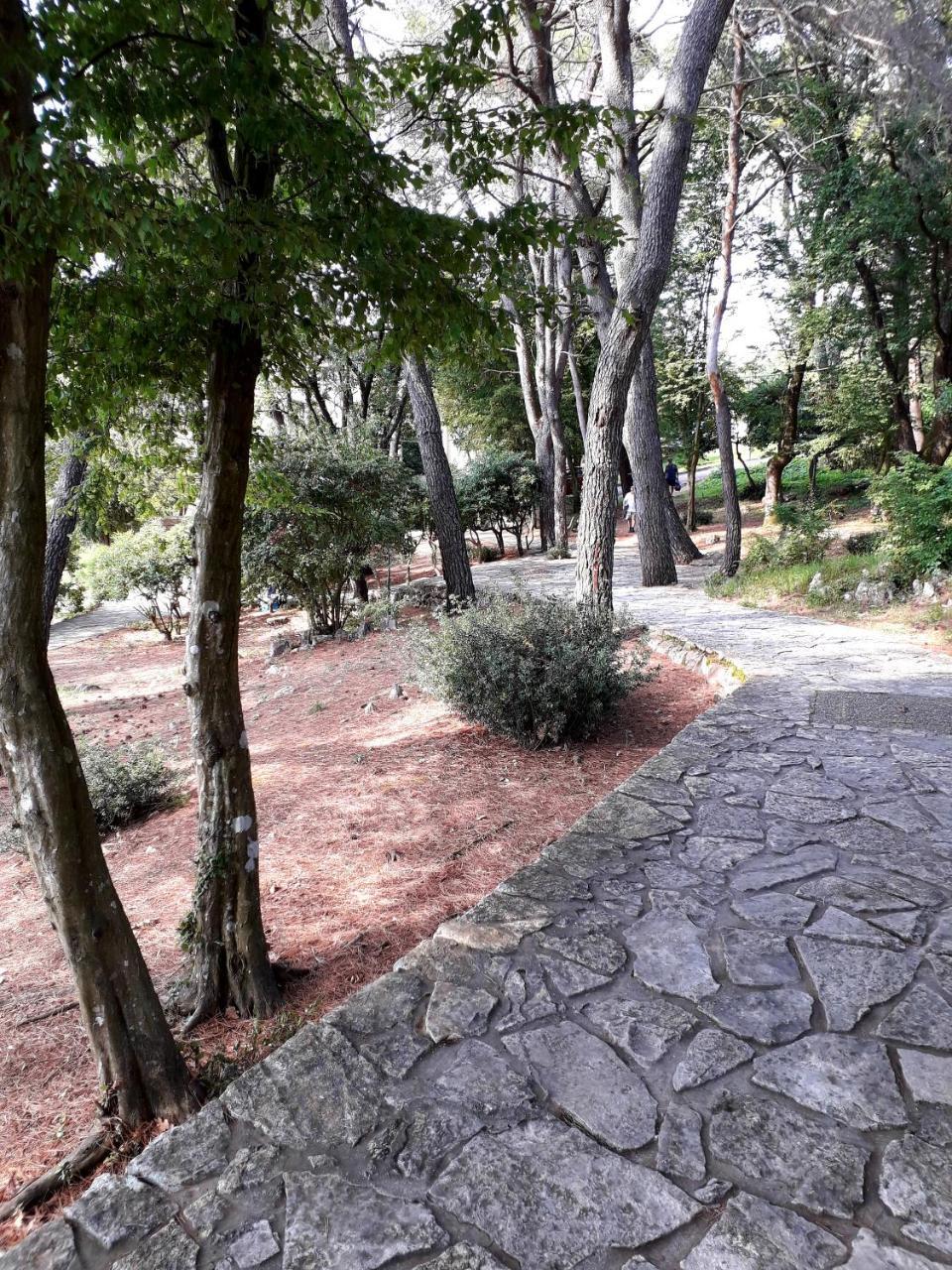 Apartments And Rooms Haludovo - Ribarsko Selo Malinska Εξωτερικό φωτογραφία